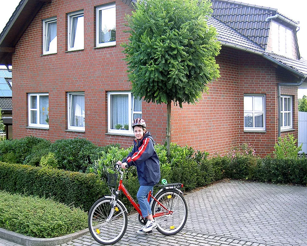 westerwald bunt glatt, клинкерная плитка
