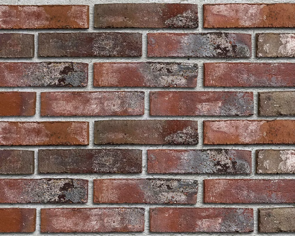 wiesmoor rotblau-bunt